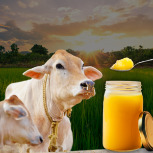 Aavu Neyya/Aavu Neyyi /Pure Cow Ghee