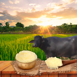 Gedhi Neyya/ Gedhi Neyyi /Buffalo Ghee/ Pure Buffalo Ghee